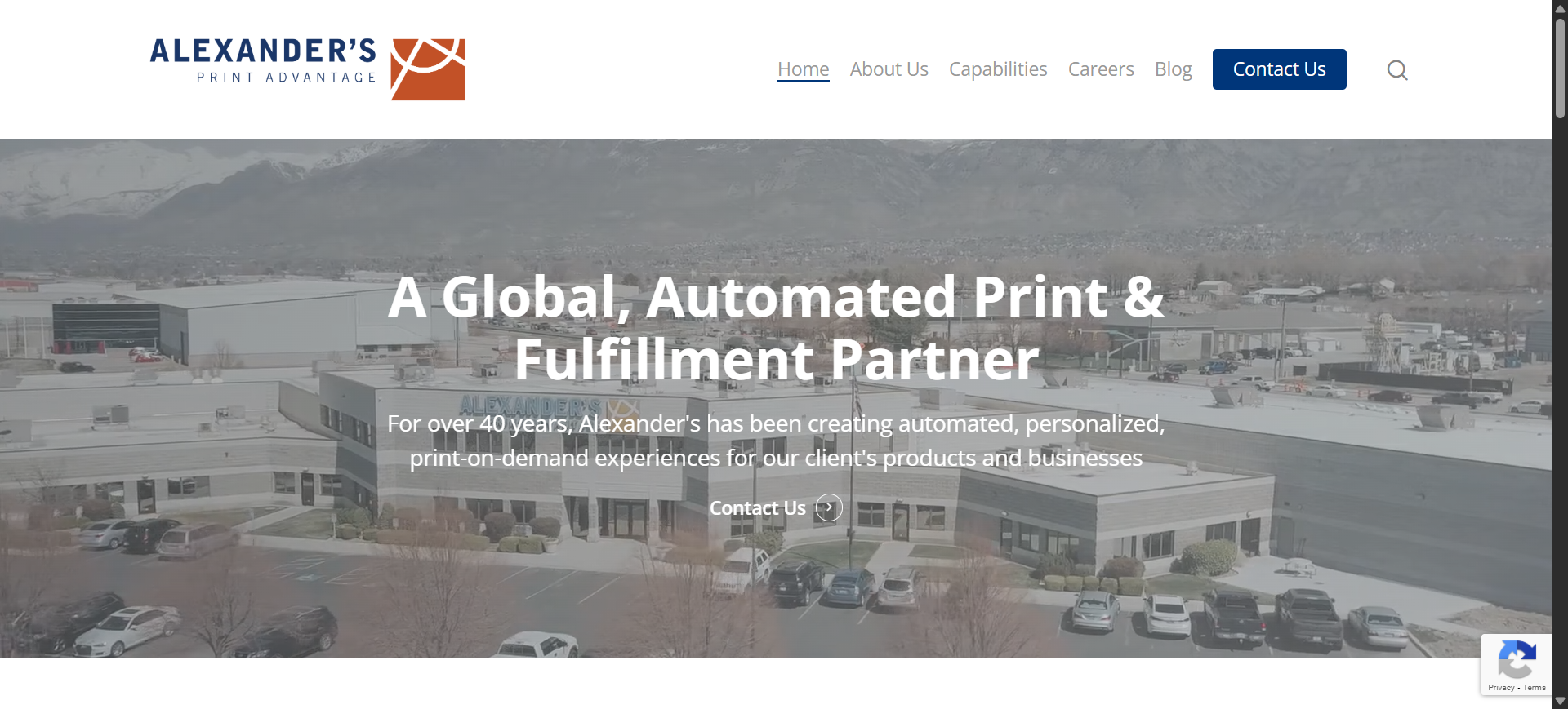 Alexanders Print Advantage screenshot